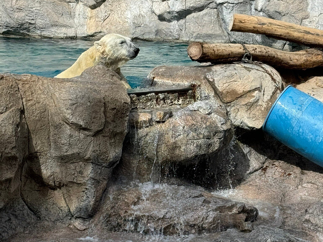 ABQ BioPark Zoo-阿尔伯克基必去景点