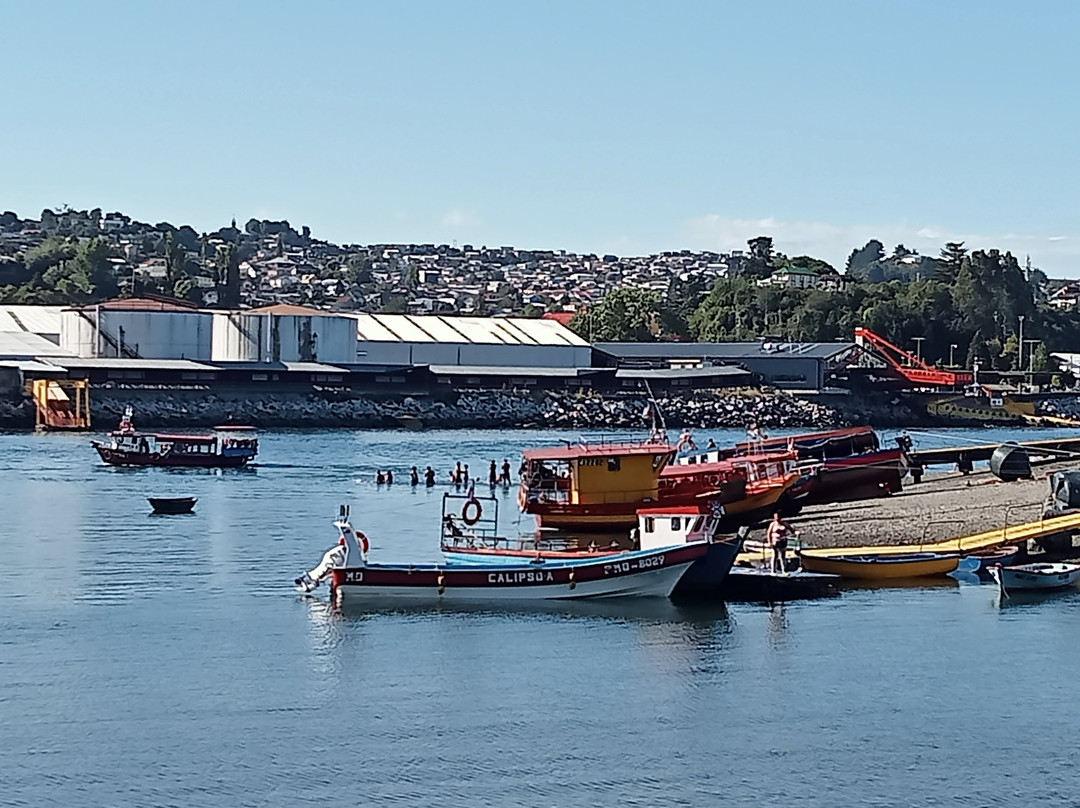Mirador Isla Tenglo-蒙特港必去景点