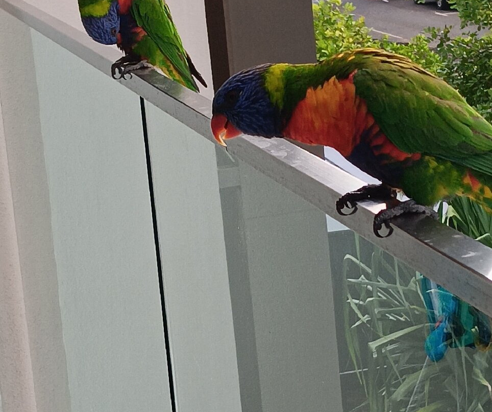 Seahaven Noosa主图