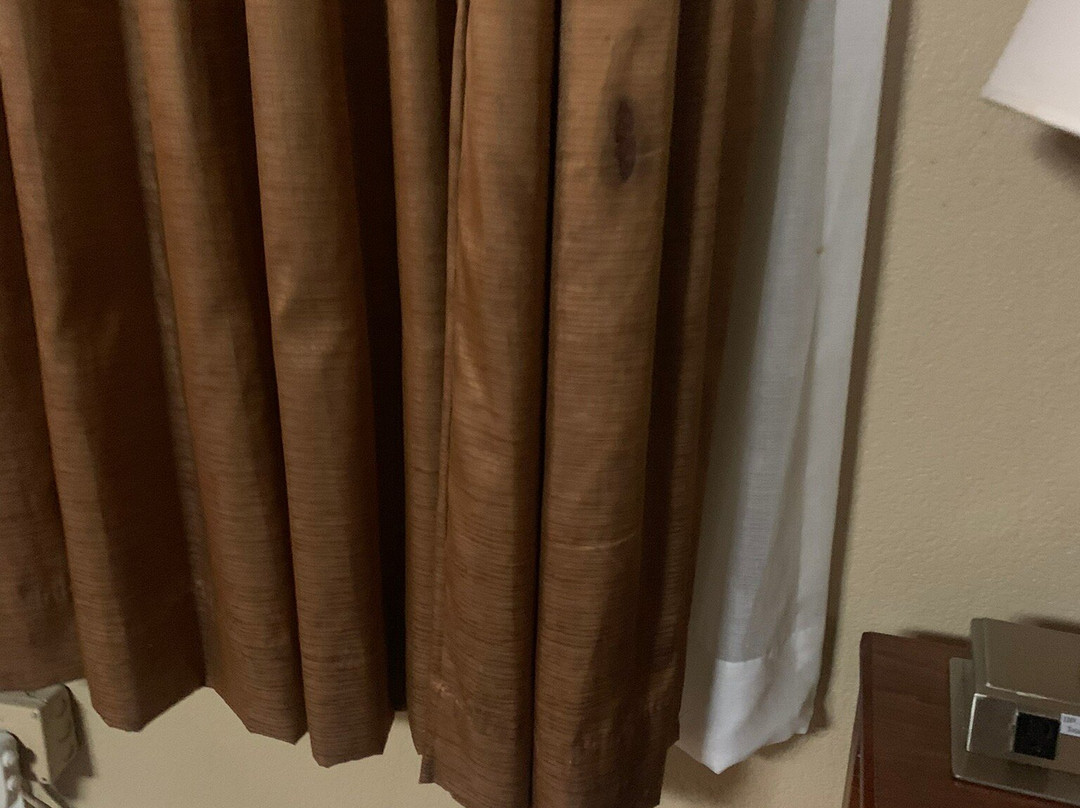 Best Western Bennington主图