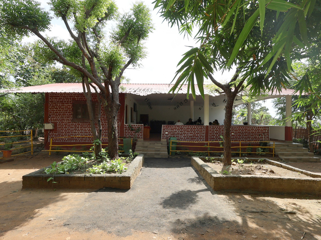 Tadoba Safari Stay Nature's Sprout主图