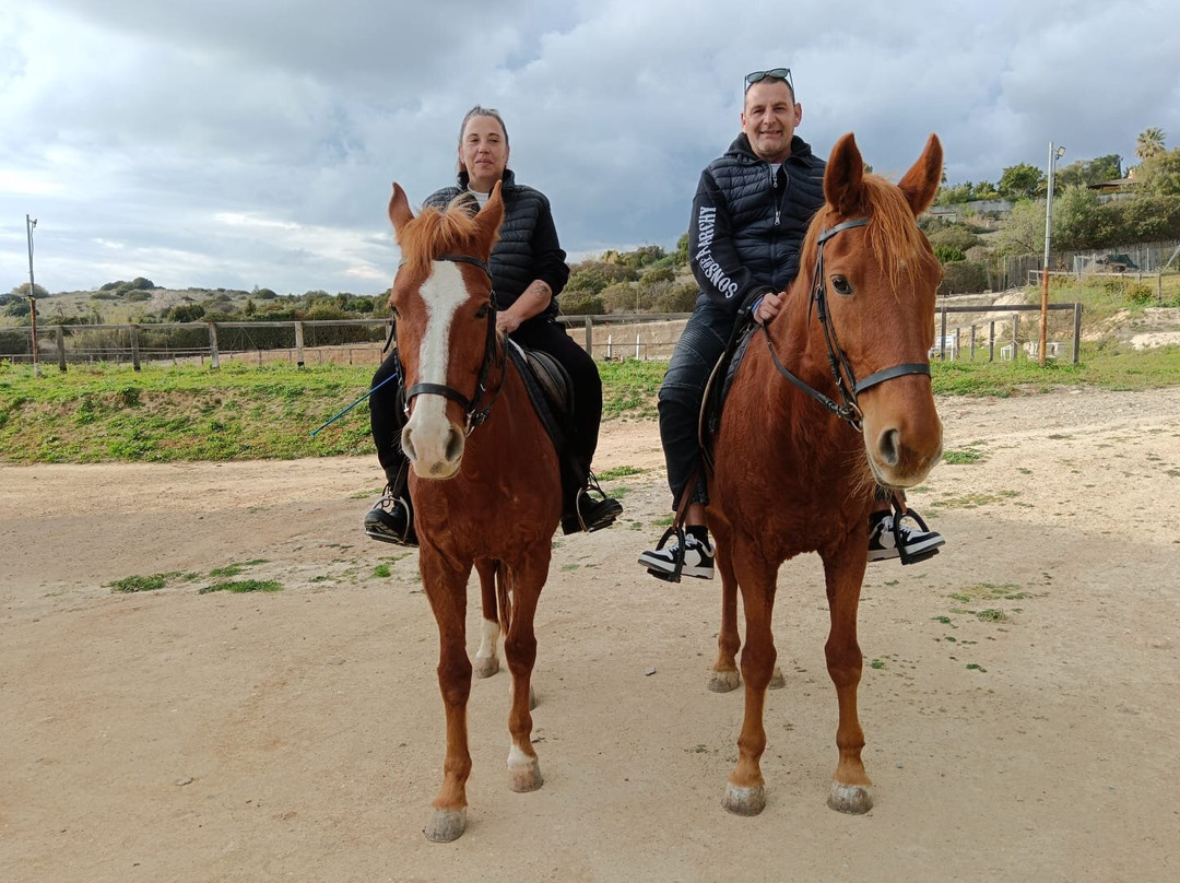 Centro Equestre Mirmex Asd