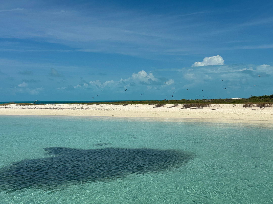 Ocean Frontiers-普罗维登西亚莱斯必去景点