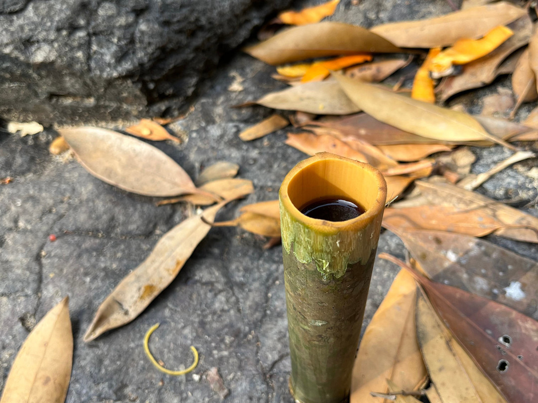 Ratanakiri Farmhouse and Trekking-邦隆必去景点