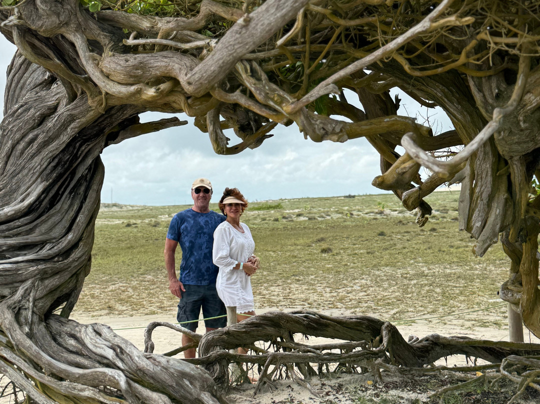 Trilha do Jerico-杰里科科拉必去景点