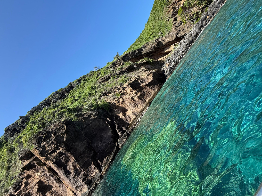 Sea Serenity Excursions景点图片