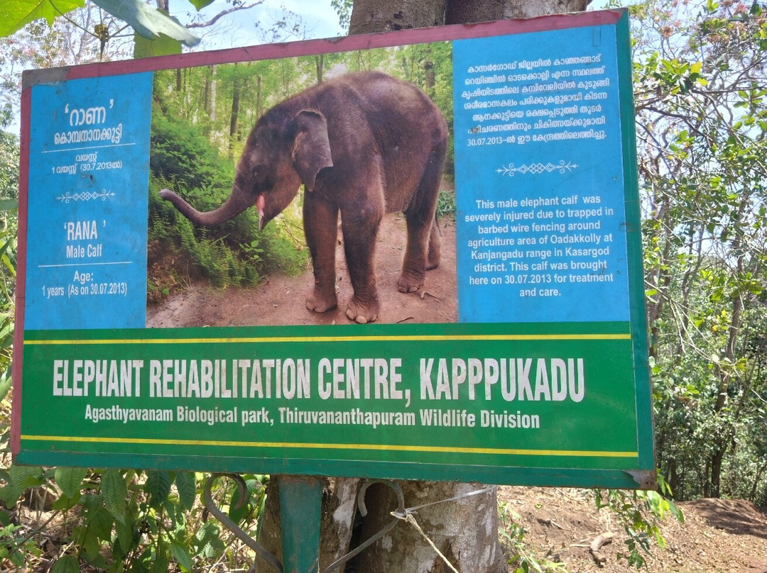 Neyyar Wild Life Sanctuary景点图片