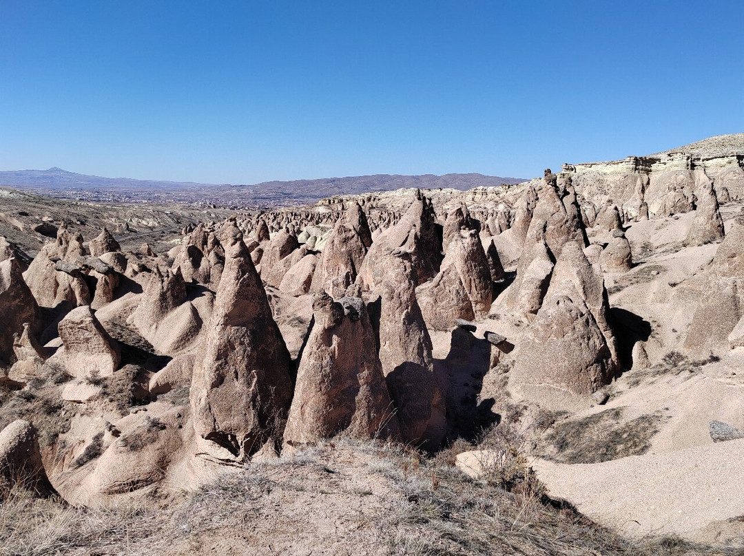 Nova Rota Travel-乌奇萨必去景点