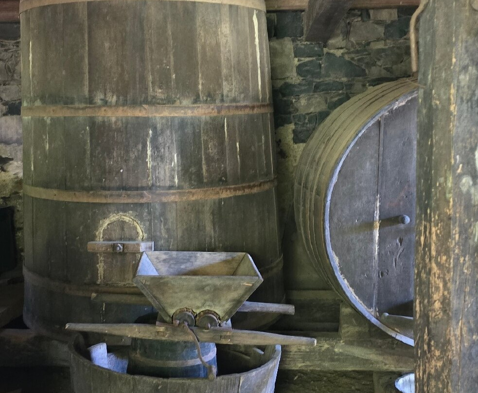 Cantina Strapazzon-本图贡萨尔维斯必去景点