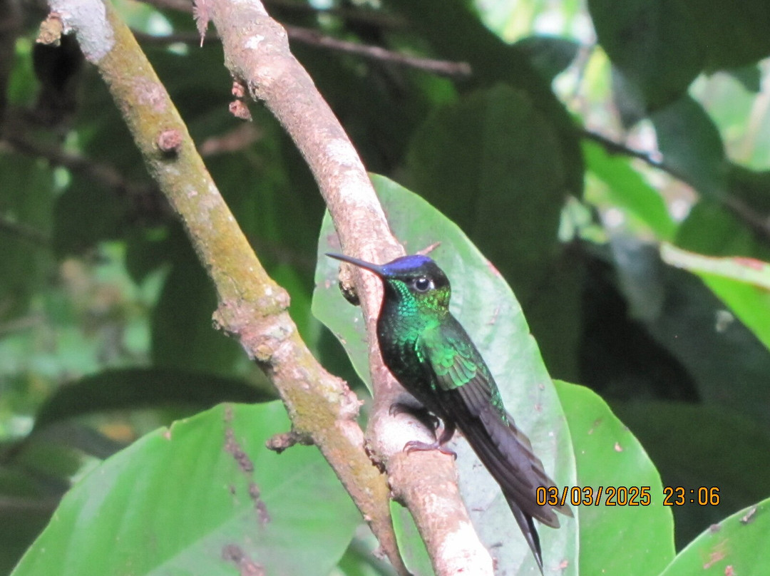 Posada Ecológica Casa María主图