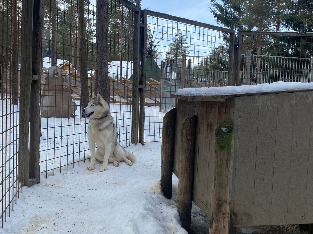 Arctic Circle Husky Park-罗瓦涅米必去景点