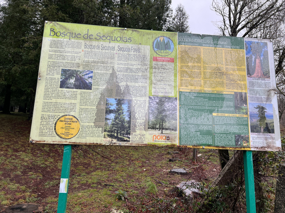 Bosque de Colón