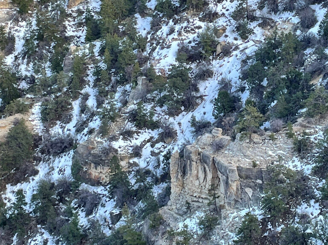 Days Inn by Wyndham Chino Valley主图