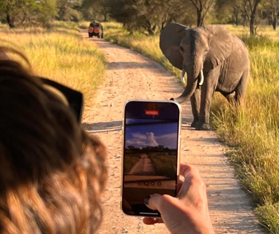 Furahia Tanzania Safari & Trekking Ltd-阿鲁沙必去景点