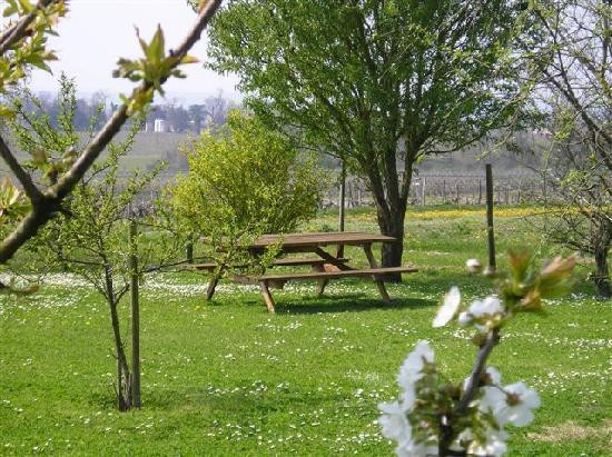 Le Puits Des Brousses主图