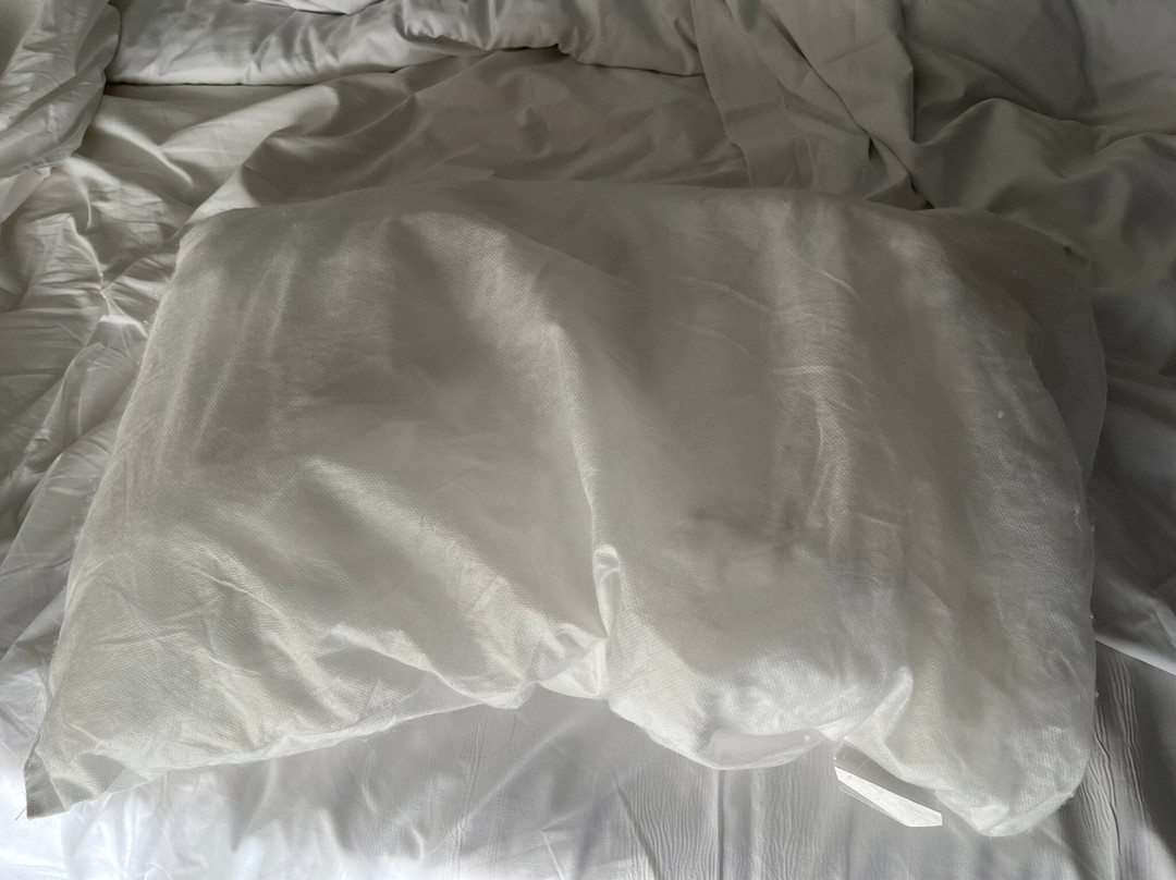 吉朗伊甸橡树