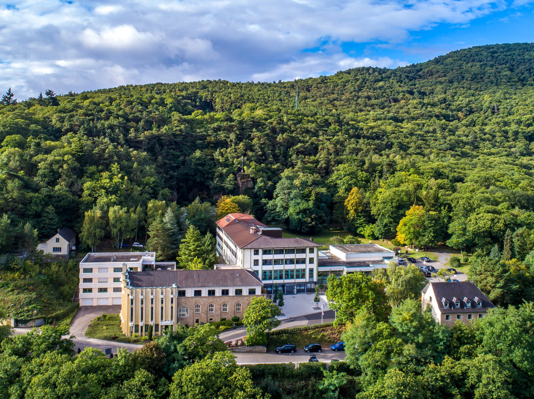 Kloster Neustadt