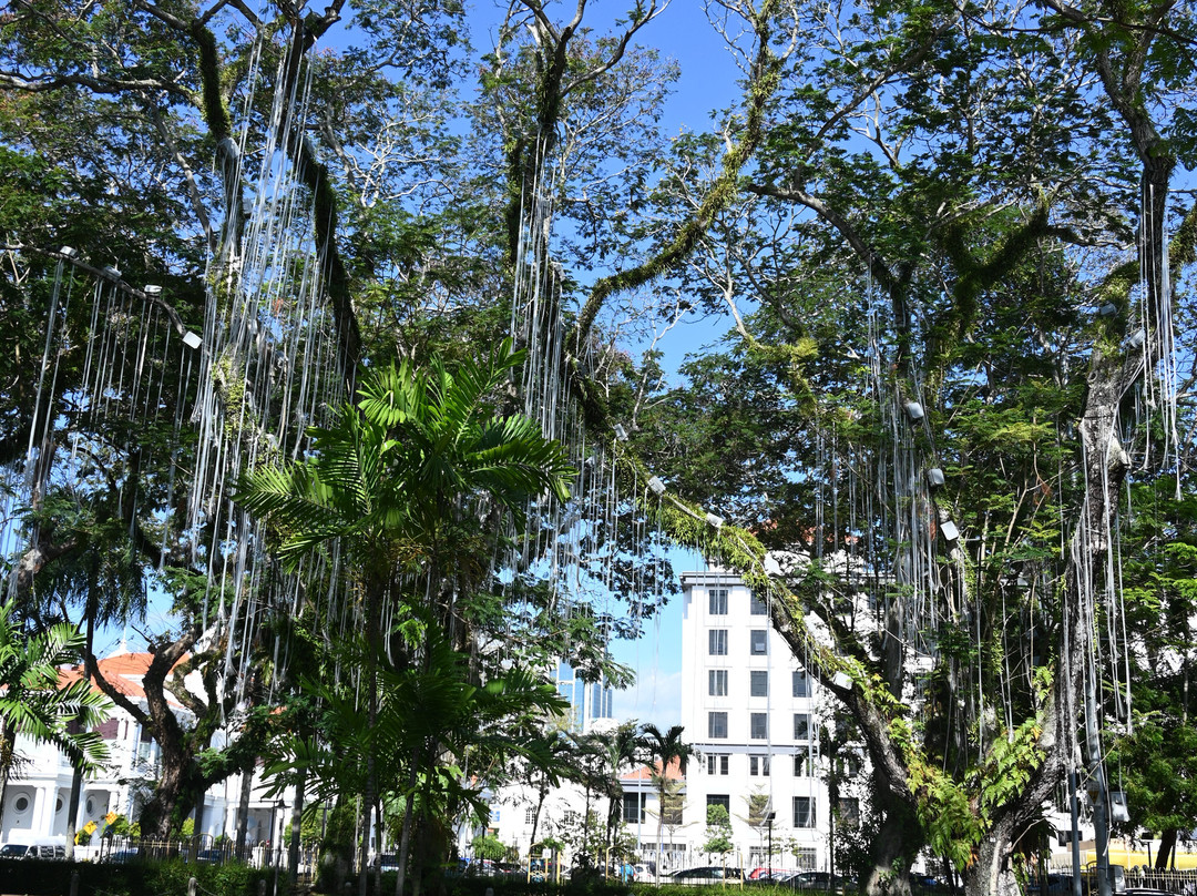 Penang Municipal Park-乔治城必去景点