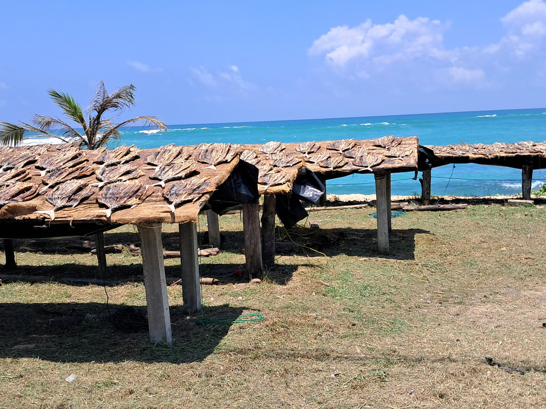 Come Visit Sri Lanka景点图片
