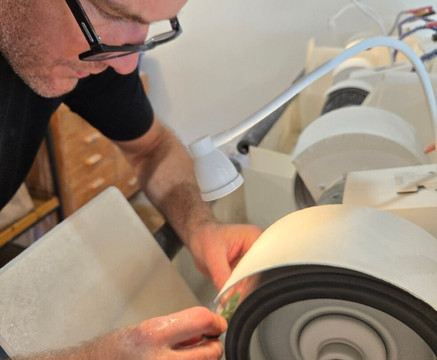 Auckland & Beyond Tours-奥克兰中心地区必去景点