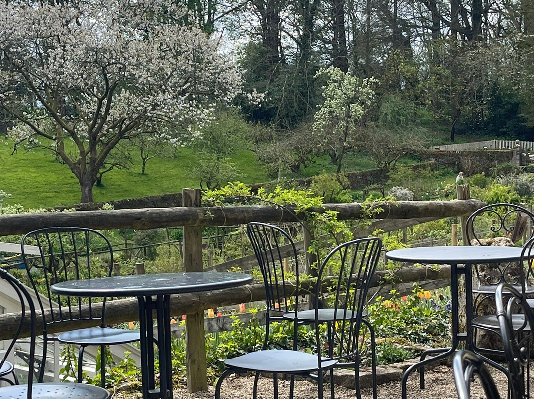 Cerney House Gardens景点图片