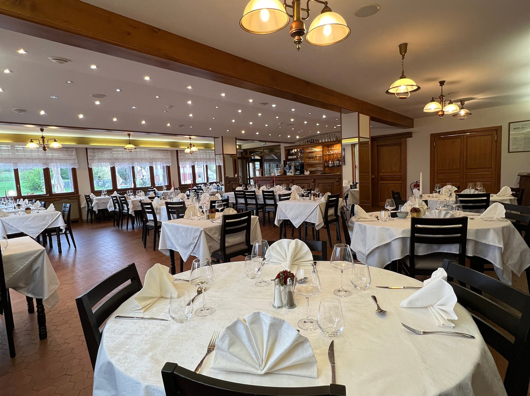 Hôtel Restaurant l'Orée des Roches主图