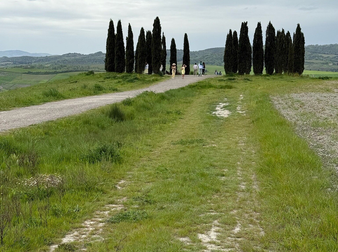 Cipressi di San Quirico d'Orcia-圣奎里科多尔恰必去景点