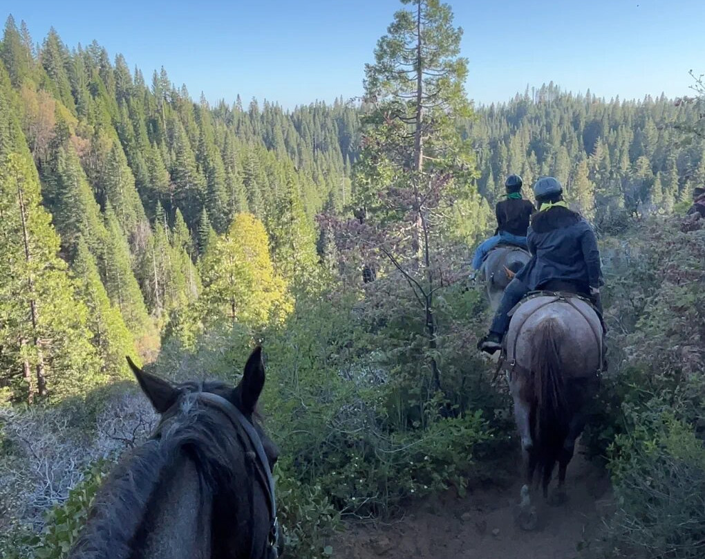Yosemite Trails Horseback Adventures-菲什营必去景点