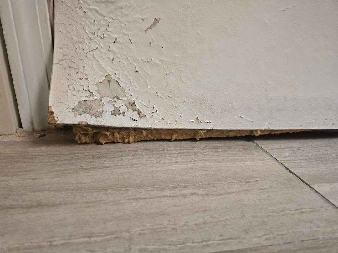 Wingate by Wyndham Indianapolis Airport Plainfield主图