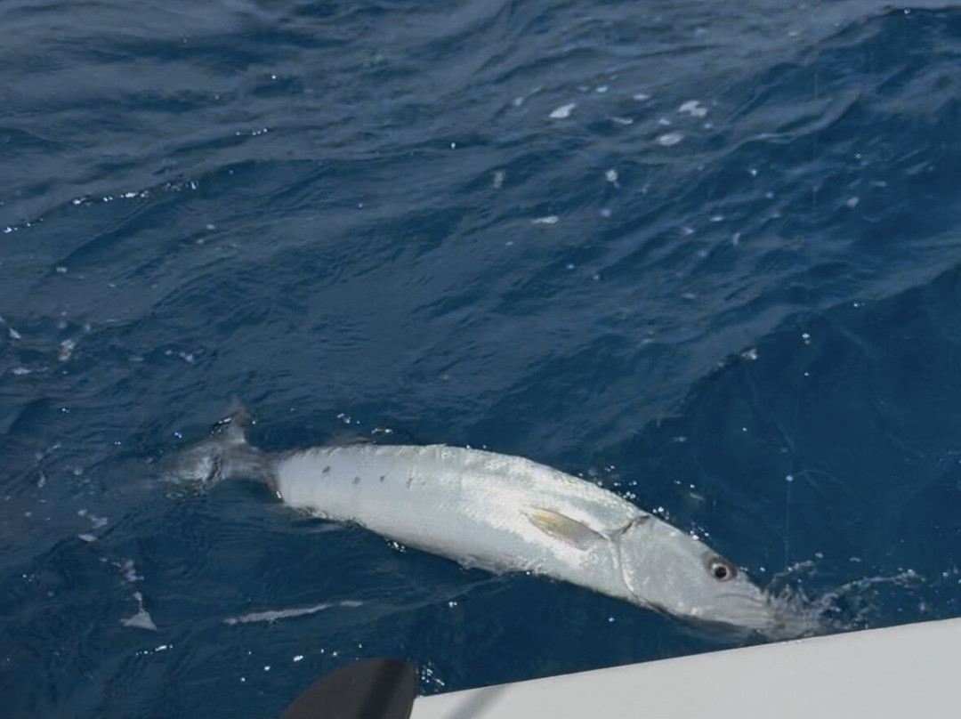 Sugar Island Tours-Jolly Harbour必去景点