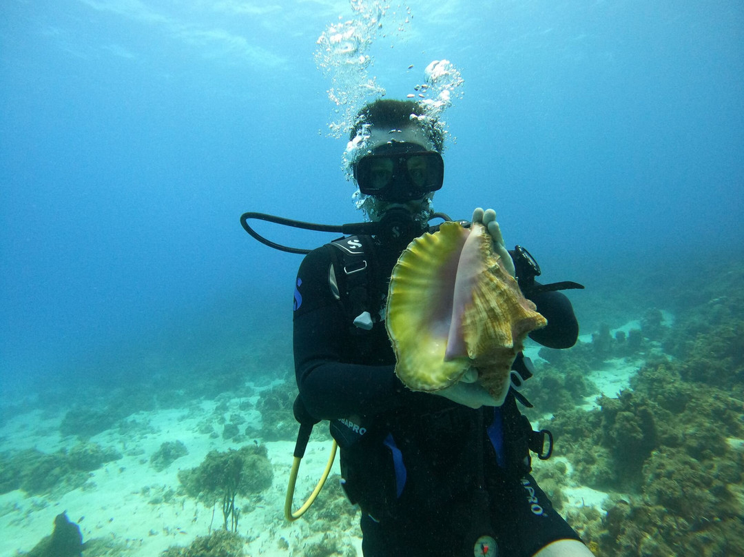 Scubacaribe Montego Bay-蒙特戈贝必去景点