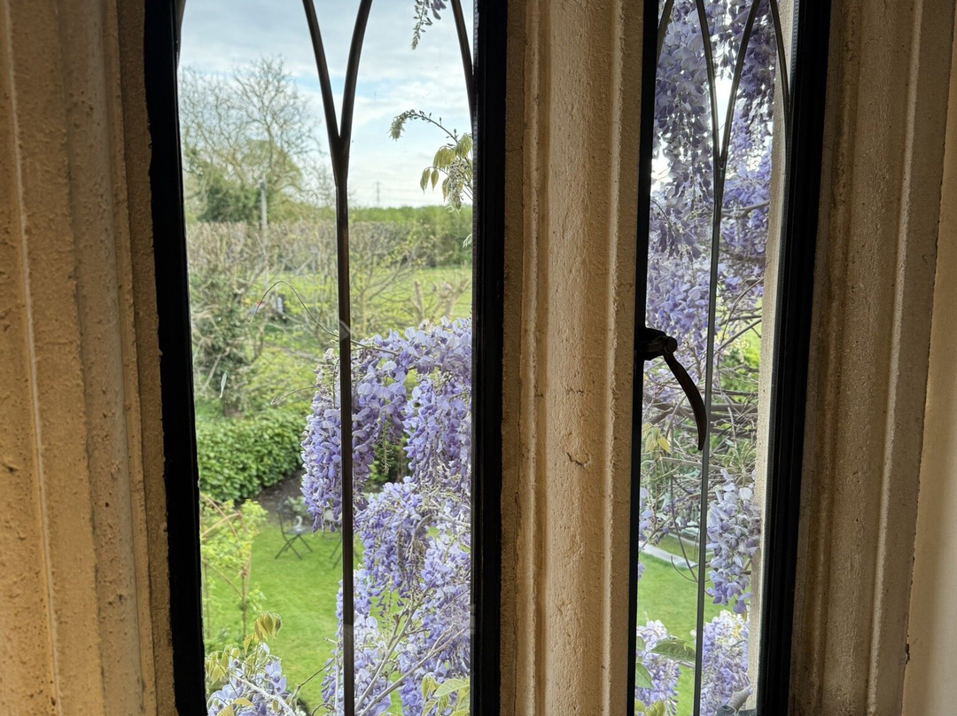 Manor Court Boutique Retreat主图