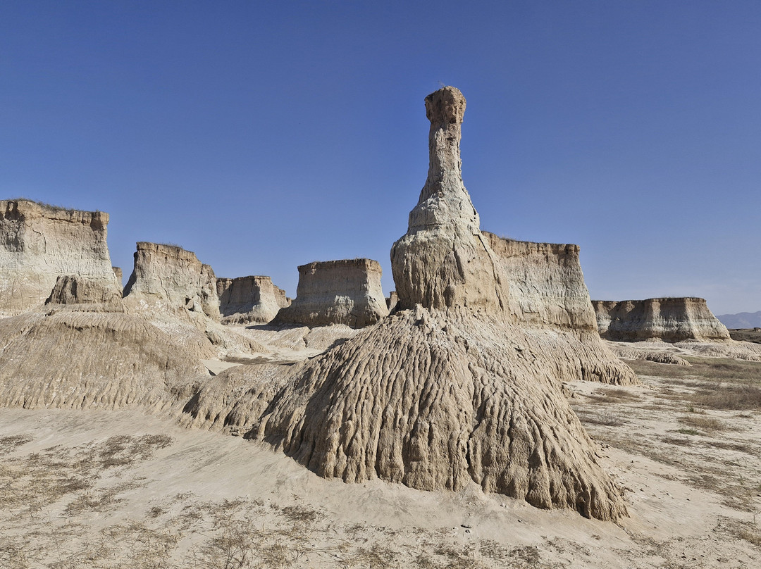 Datong Forest-大同市必去景点