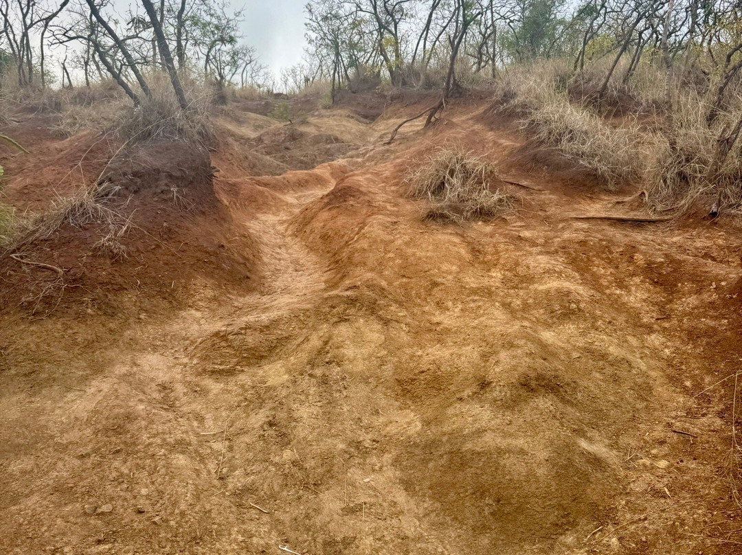 Lanikai Pillbox Trail-科纳必去景点