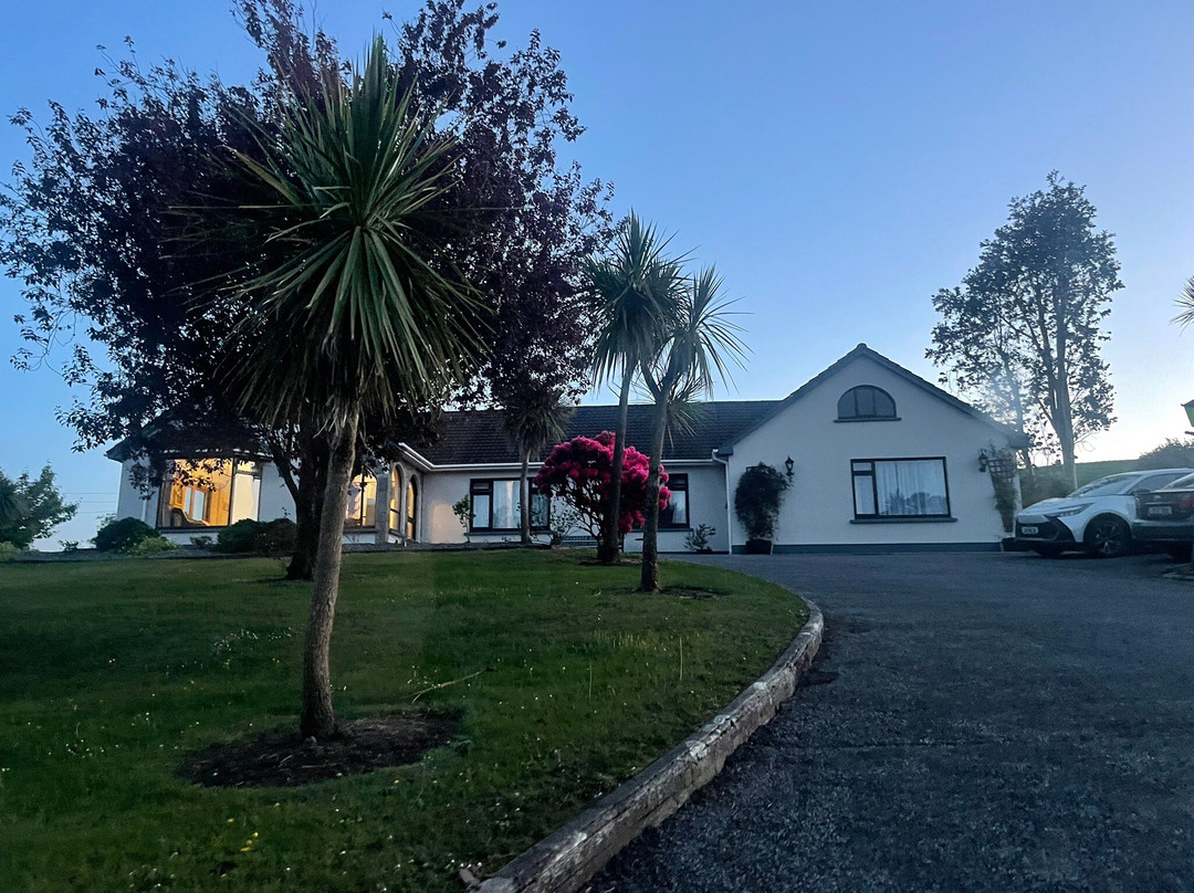 O'Shea's Ceol Na Habhann主图