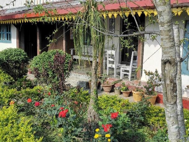 Tea Garden景点图片