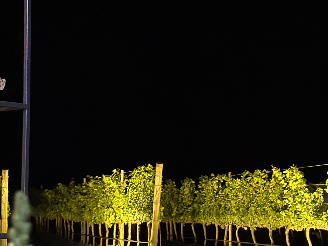 Refúgio na Serra Boutique Hotel主图