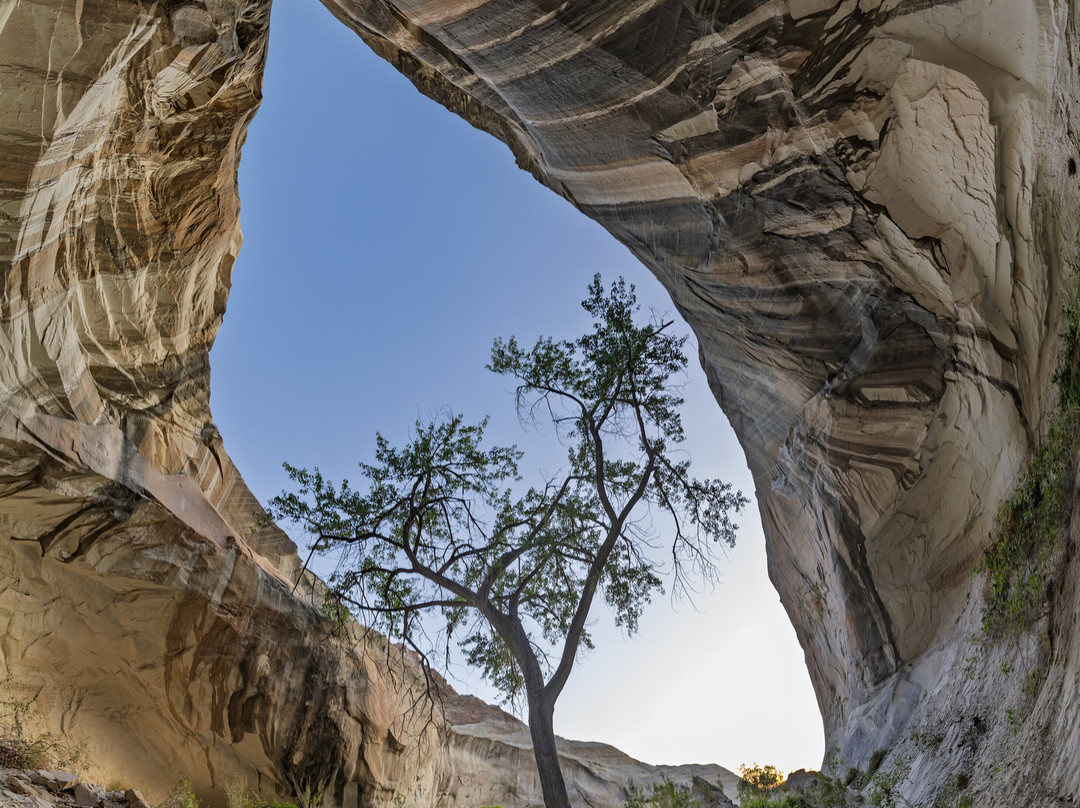 Action Photo Tours-卡纳布必去景点