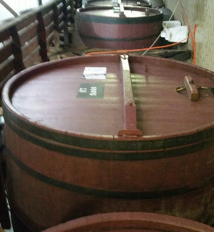 Vinhos Zanrosso-南卡希亚斯必去景点