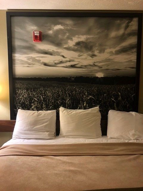 Super 8 by Wyndham Alma主图