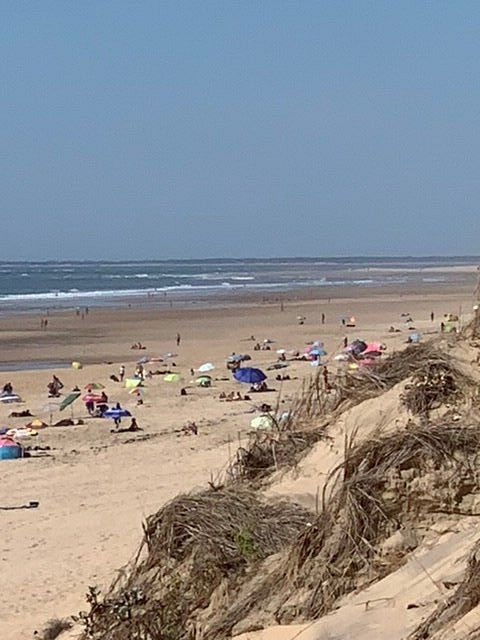 Beach of La Palmyre景点图片