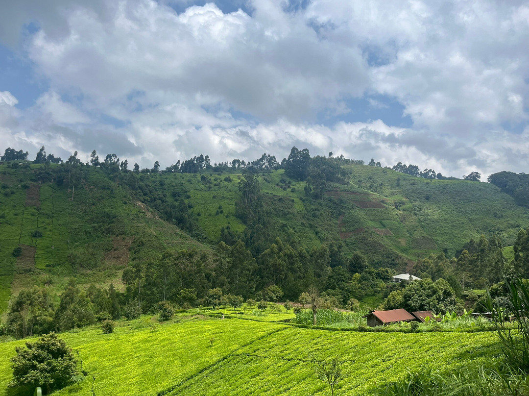 Kimakia Tea Cottages主图