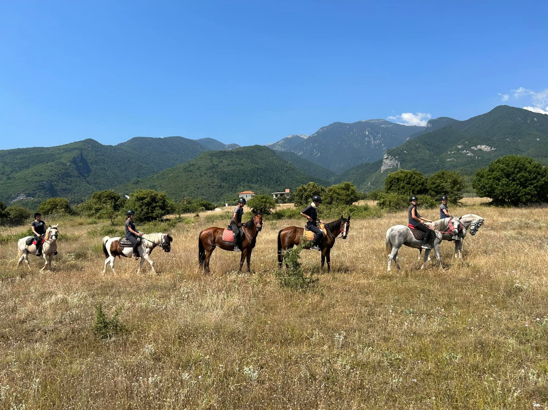 Olympus Horse Riding Club-Litochoro必去景点