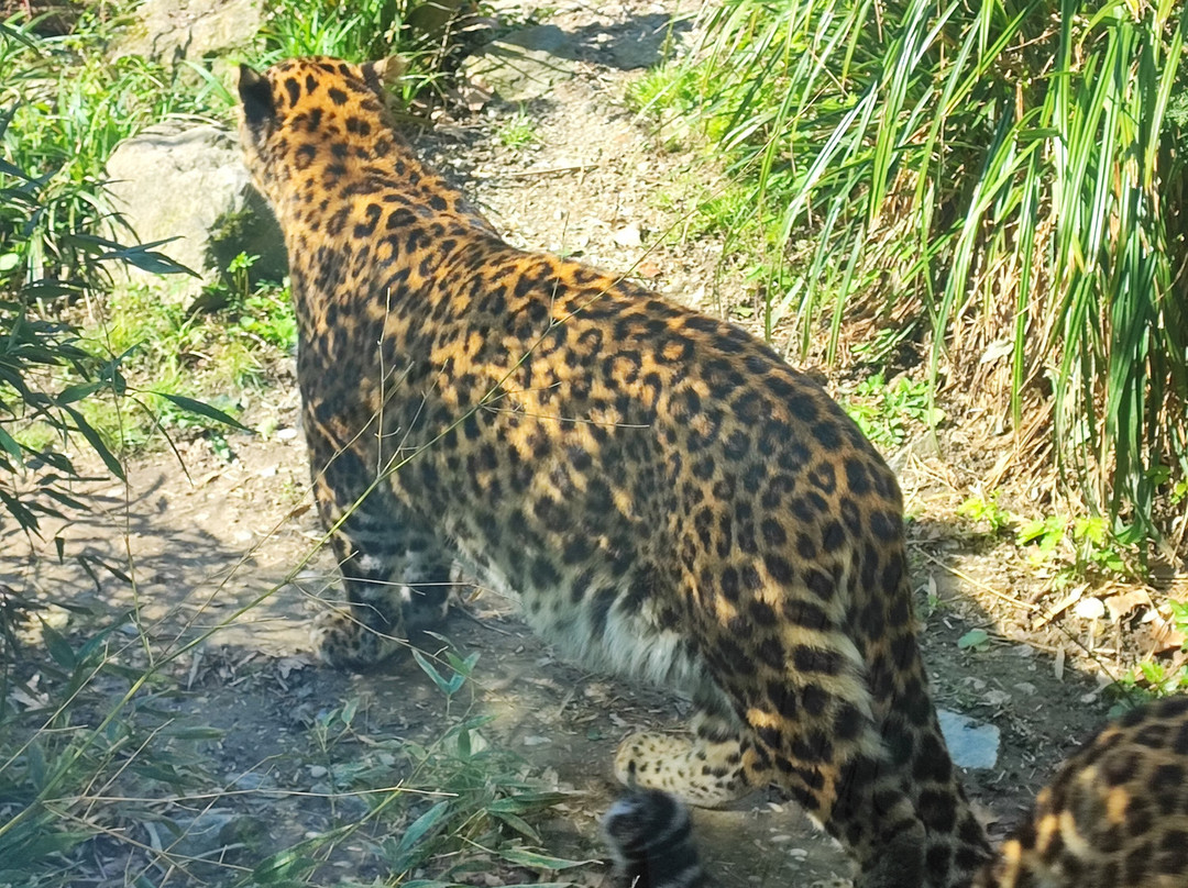 Zoo Zagreb-萨格勒布必去景点
