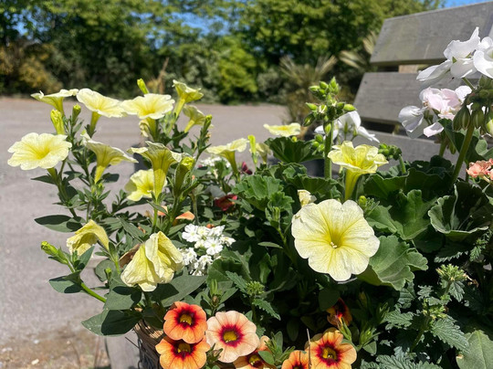 High Trees Garden Centre-East Carlton必去景点