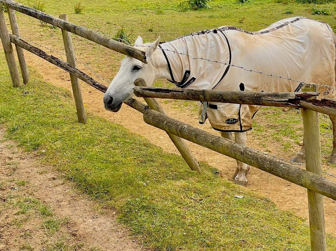 Cotswolds Riding-Stanton必去景点