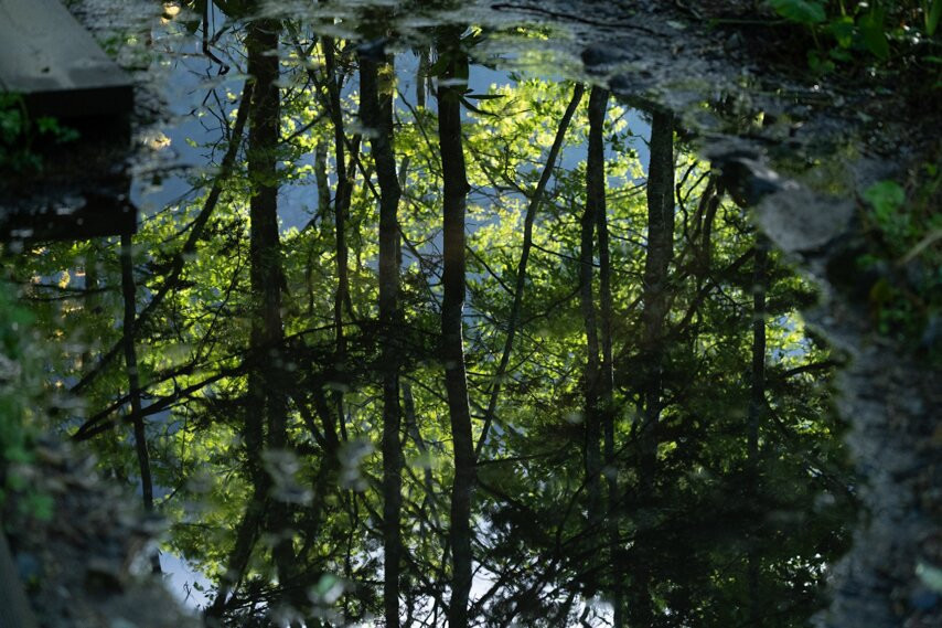 Natureguide Fivesense-松本市必去景点