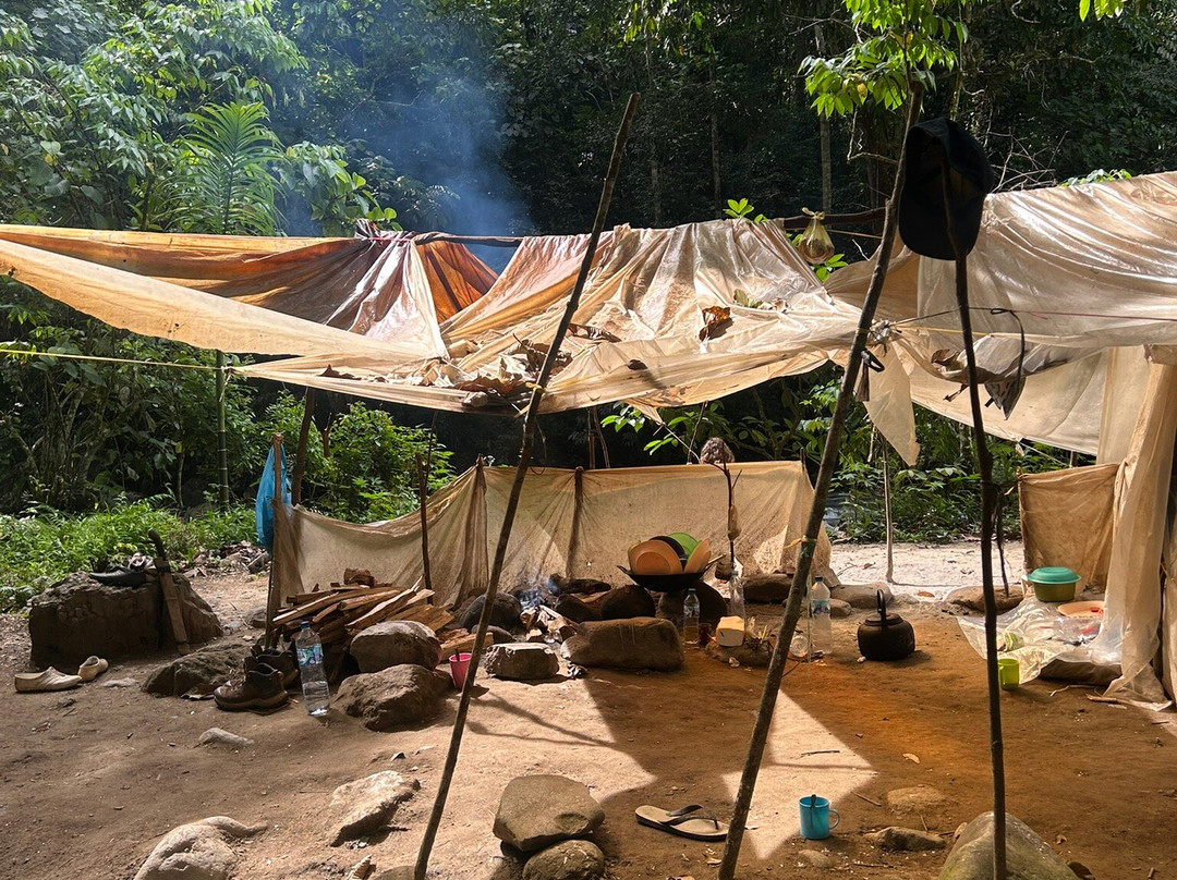 Hasby Ketambe Jungle Tours-Ketambe必去景点