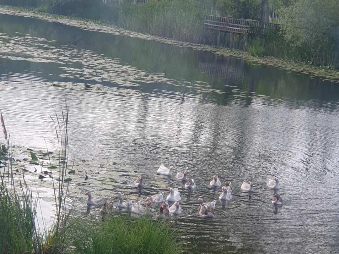 Acarlar Floodplain Forest景点图片