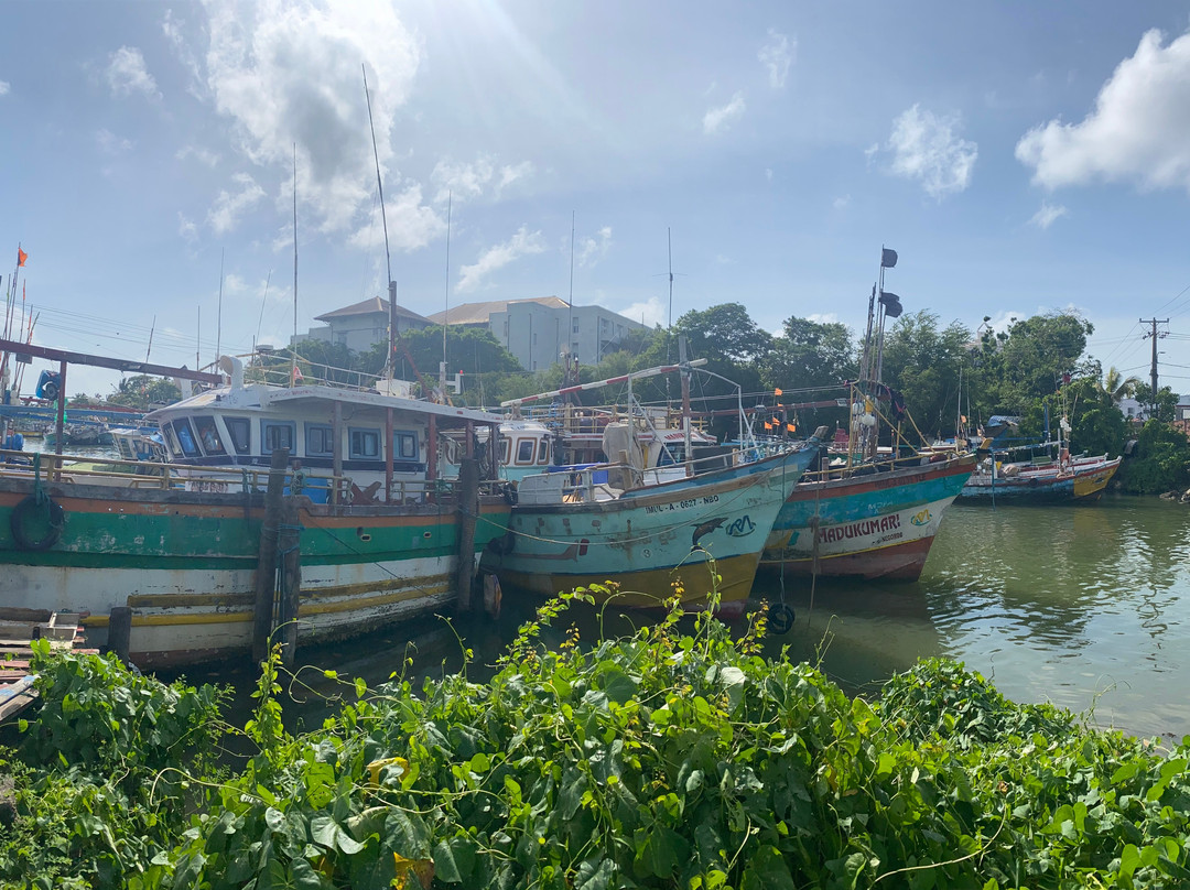 Nilaveli Taxi & Tuk Tuk-Trincomalee必去景点